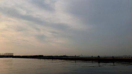 西宮突堤　早朝ツバス